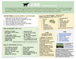 JUNE Pet Awarenss Month 2022