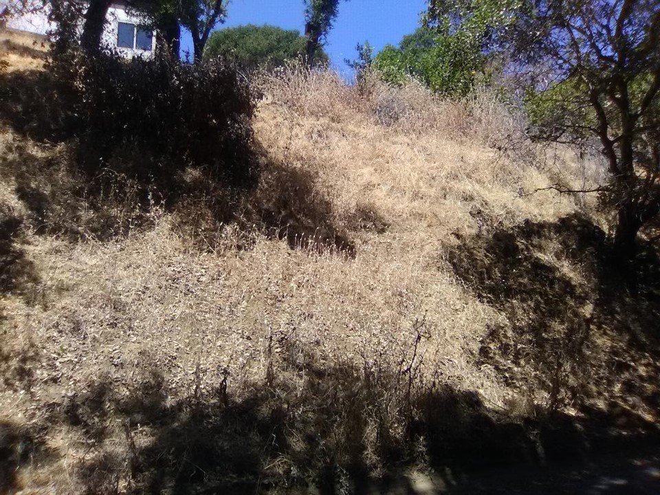May is wildfire preparedness month!