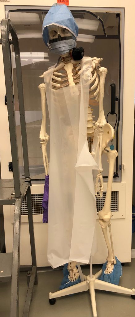 skeleton with proper safety gear